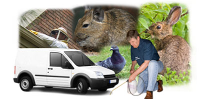 Clerkenwell local van